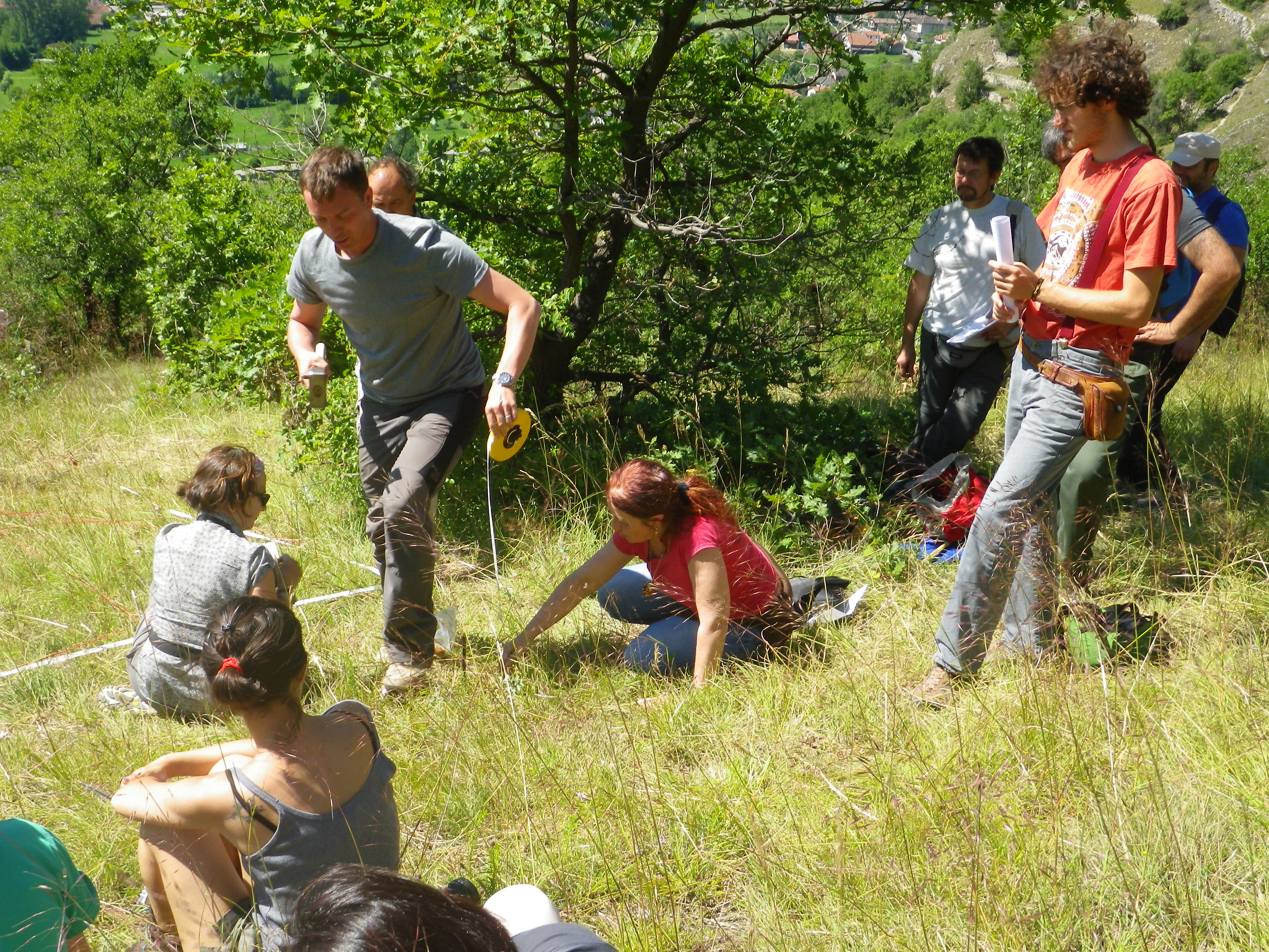 Workshop itinerante del 20/06/2014 (Acción E2): ejemplo de muestreo fitopastoral