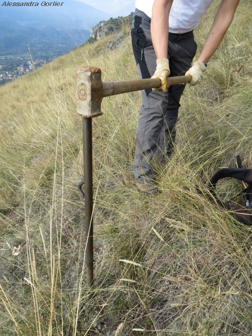 Comprobación en el terreno terreno del prototipo de palo