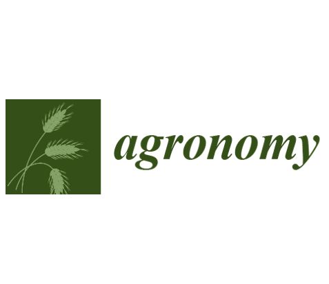 The results of the project on AGRONOMY