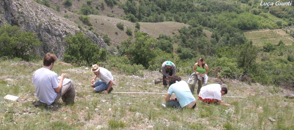 Botanical research in Foresto