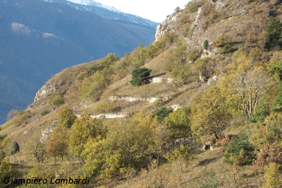 Terrazzamenti a Bussoleno