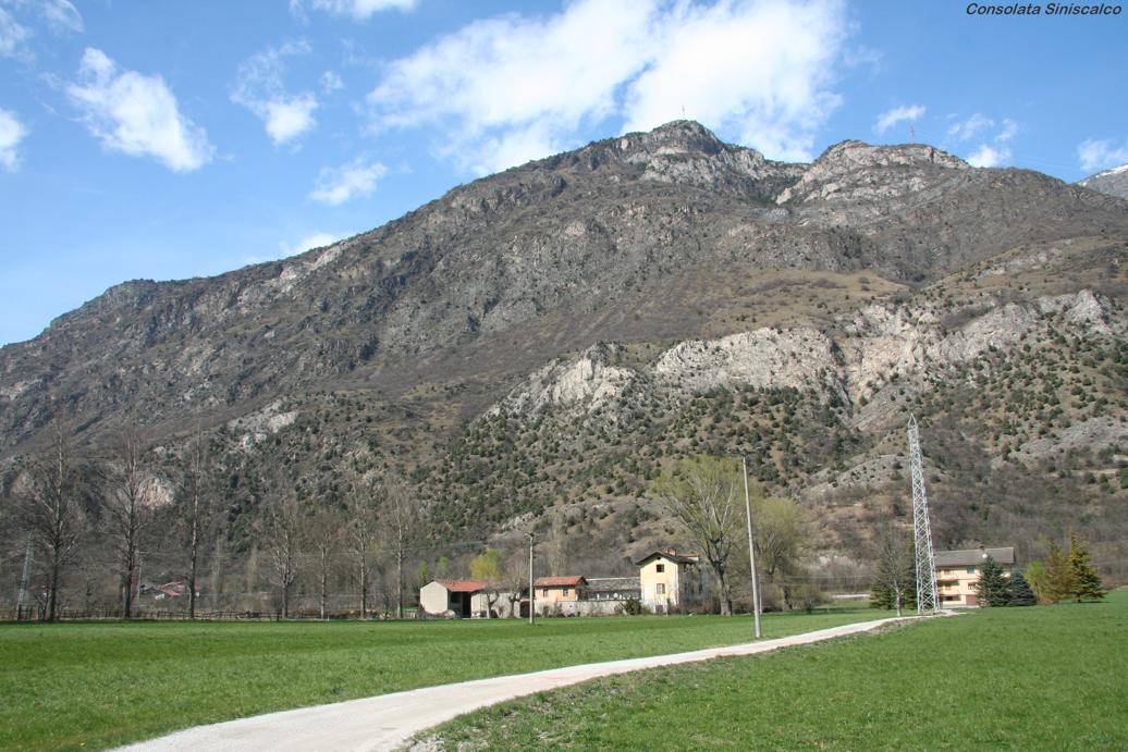 Vertiente de Juniperus oxycedrus (Orrido di Foresto-Valle di Susa)