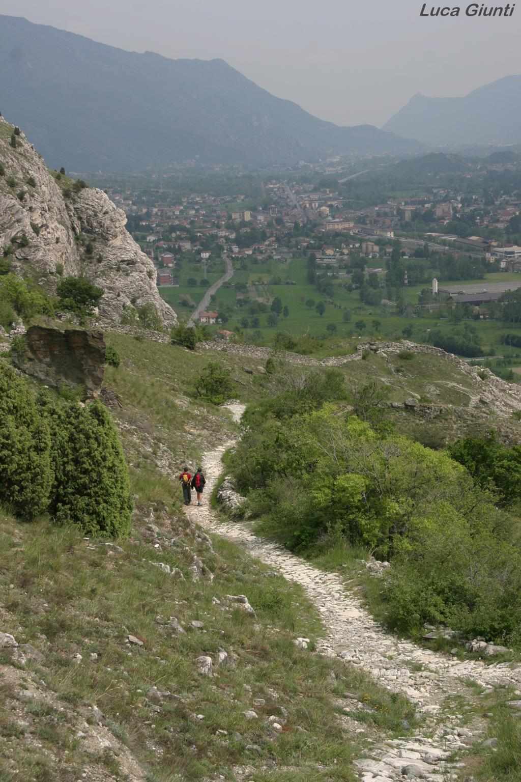 Sendero en la Valle di Susa