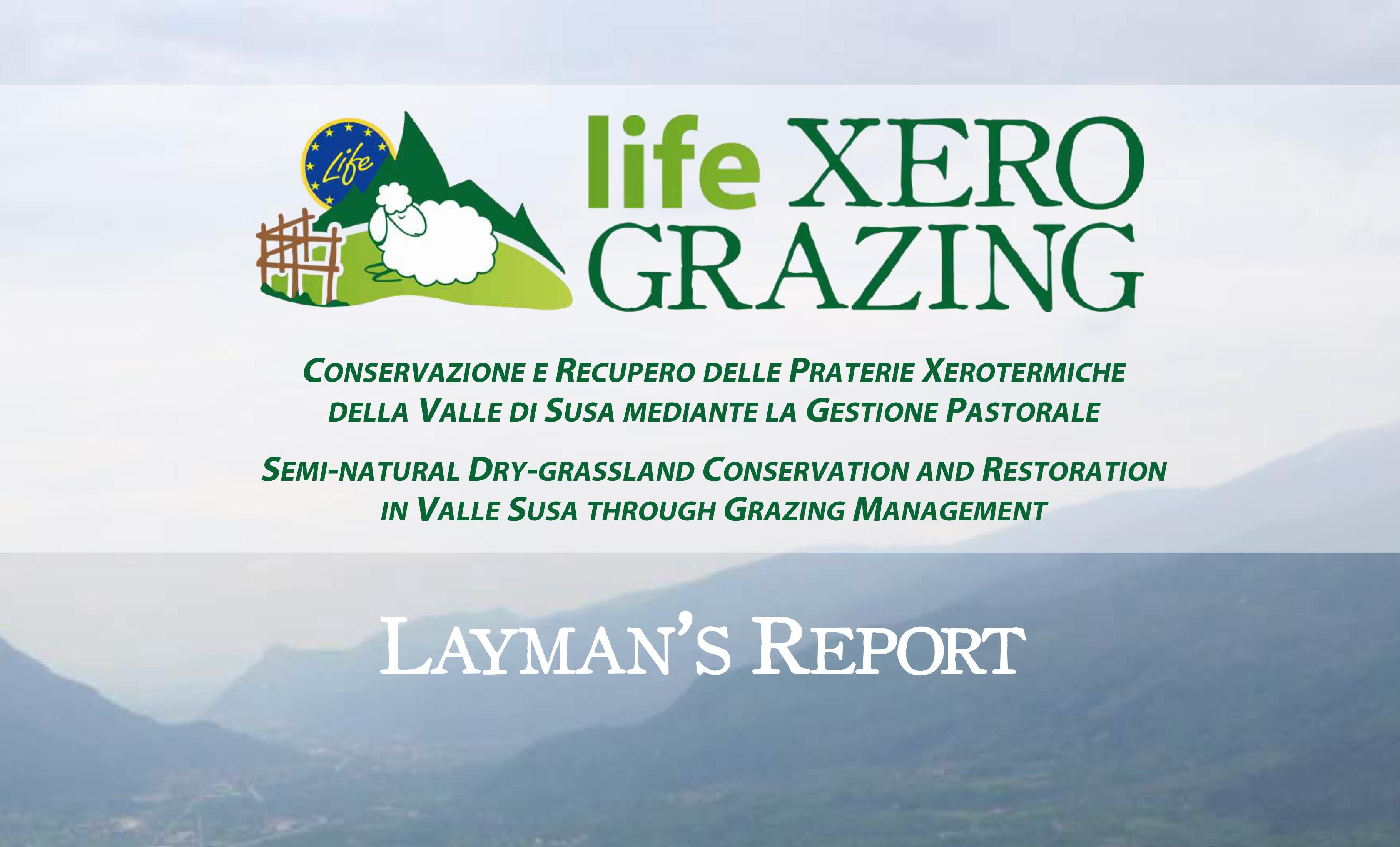 SCARICA IL LAYMAN'S REPORT DEL PROGETTO