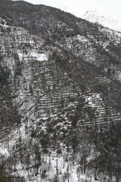Terrazzamenti a Chianocco
